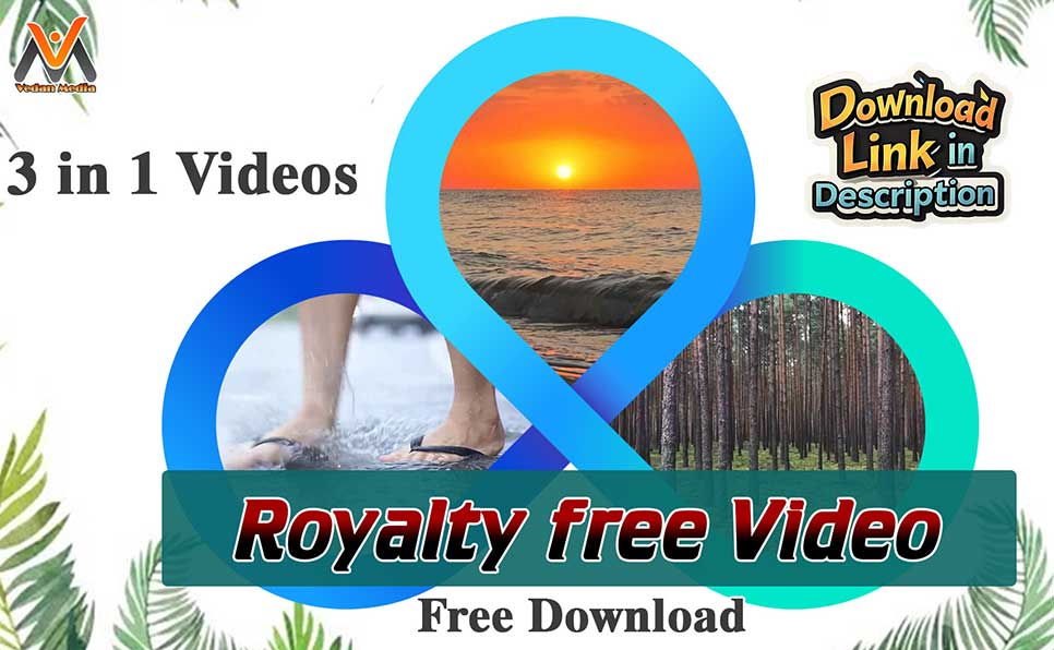 3-in-1 Nature Vibes: Rainy Walk, Forest & Beach Waves | Free Use Stock Video | VM1148 vedan media Free Use Stock Video