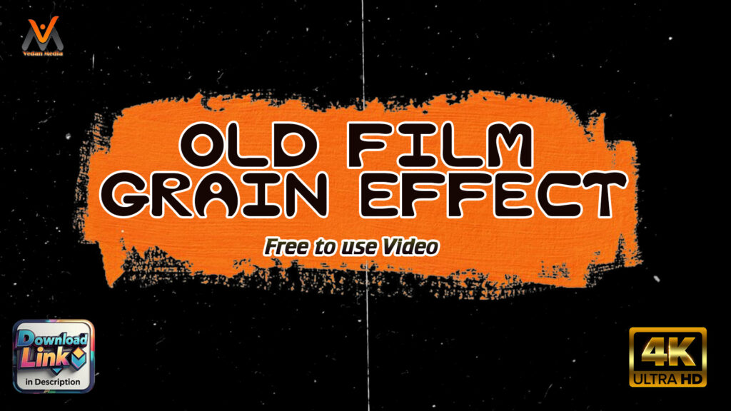 Old Film Grain Effect, Free Stock Video, Vintage Black & White Noise Overlay, VM1150 Vedan Media Free Stock Video