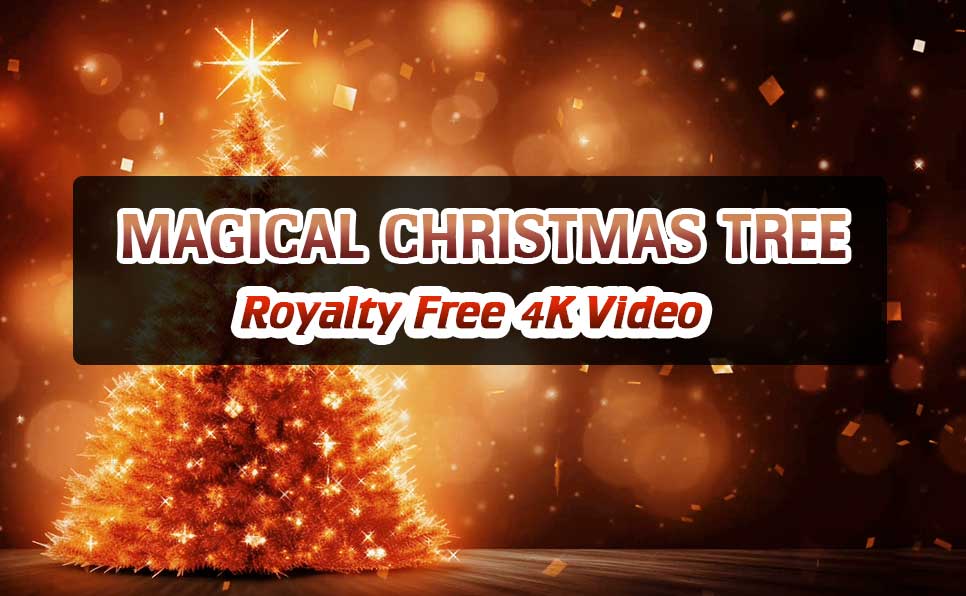 Magical Christmas Tree Animation | Stunning Free Christmas Background | Golden Lights & Bokeh Effect | Royalty-Free 4K Video | VM1171 Magical Christmas Tree Animation, Stunning Free Christmas Background, VM1171